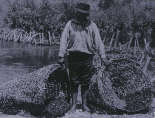 Ancestral Fish Weir Baskets